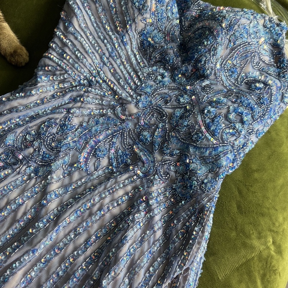 Prom or Hoco dress - Picture 4 of 11